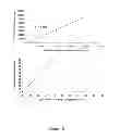 Fig. 11 - HLA-restricted, peptide-specific antigen binding proteins