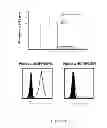 Fig. 12 - HLA-restricted, peptide-specific antigen binding proteins
