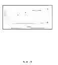 Fig. 25 - HLA-restricted, peptide-specific antigen binding proteins