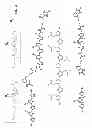 Fig. 03 - BINDING OF PATHOLOGICAL FORMS OF PROTEINS USING CONJUGATED POLYELECTROLYTES