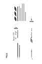 Fig. 06 - BINDING OF PATHOLOGICAL FORMS OF PROTEINS USING CONJUGATED POLYELECTROLYTES