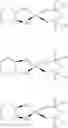 Fig. 09 - Synthetic method for phosphaplatin compounds