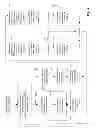 Fig. 05 - METHOD AND SYSTEM TO INDICATE HYPERGLYCEMIA OR HYPOGLYCEMIA FOR PEOPLE WITH DIABETES