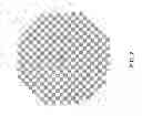 Fig. 03 - Vision examination system with improved visually evoked potential waveforms