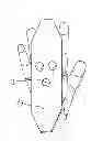 Fig. 01 - Device and Technique for Semen Collection from Boars