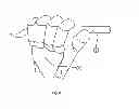Fig. 06 - Device and Technique for Semen Collection from Boars