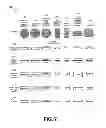 Fig. 16 - Methods for noninvasive skin tightening