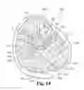 Fig. 11 - Multi-lumen biologic-delivering device