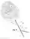 Fig. 12 - Multi-lumen biologic-delivering device