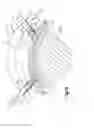 Fig. 09 - ANCHOR AND METHOD FOR SECURING A SUTURE