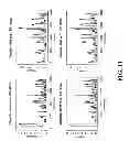 Fig. 18 - DETERMINING A PROBABILISTIC DIAGNOSIS OF CANCER BY ANALYSIS OF GENOMIC COPY NUMBER VARIATIONS