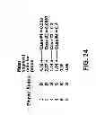 Fig. 33 - DETERMINING A PROBABILISTIC DIAGNOSIS OF CANCER BY ANALYSIS OF GENOMIC COPY NUMBER VARIATIONS