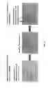 Fig. 40 - DETERMINING A PROBABILISTIC DIAGNOSIS OF CANCER BY ANALYSIS OF GENOMIC COPY NUMBER VARIATIONS