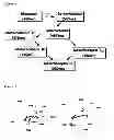 Fig. 02 - Structural model of G protein-coupled receptor and method for designing ligand capable of binding to G protein-coupled receptor using the structural model