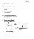 Fig. 02 - System and method for  a game involving the production and transmitting of live performances of selected behaviors