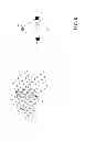 Fig. 09 - Confidence based vein image recognition and authentication