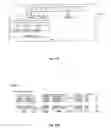 Fig. 13 - Schema-based dynamic parse/build engine for parsing multi-format messages