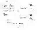Fig. 09 - Extending processing capacity of server