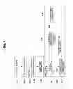 Fig. 04 - PROCESSOR USING BRANCH INSTRUCTION EXECUTION CACHE AND METHOD OF OPERATING THE SAME