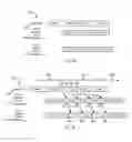 Fig. 06 - Systems and methods for gate aware iterative data processing