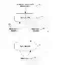 Fig. 04 - Device controller for a memory device