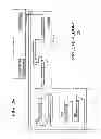Fig. 07 - Programmable queuing