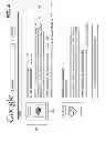 Fig. 06 - User interface for presentation of a document