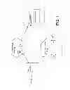 Fig. 02 - Virtual world teleportation