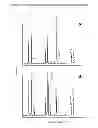 Fig. 07 - Method for the Production of Polyunsaturated Fatty Acids