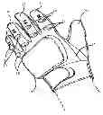 Fig. 01 - ATHLETIC GLOVE