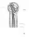 Fig. 08 - Oral hygiene implement and oral hygiene device