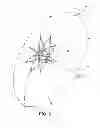 Fig. 04 - Flower Pot Protection Device