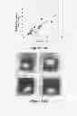 Fig. 17 - Cell mass measurement and apparatus
