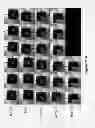 Fig. 35 - Cell mass measurement and apparatus