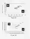 Fig. 40 - Cell mass measurement and apparatus