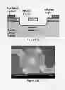 Fig. 46 - Cell mass measurement and apparatus
