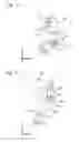 Fig. 12 - Scott-Russell mechanism device