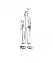 Fig. 44 - Suspension and body attachment system and differential pressure suit for body weight support devices
