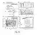 Fig. 17 - Enhanced flow boiling in microchannels by high frequency microbubble-excited and -modulated oscillations