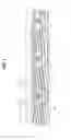 Fig. 04 - SHIELDED CABLE