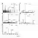 Fig. 45 - Systems and methods extending the laserspray ionization mass spectrometry concept from atmospheric pressure to vacuum
