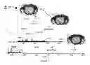Fig. 71 - Systems and methods extending the laserspray ionization mass spectrometry concept from atmospheric pressure to vacuum