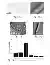 Fig. 06 - Peptide nanostructures and methods of generating and using the same