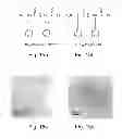 Fig. 09 - Peptide nanostructures and methods of generating and using the same