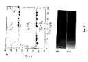 Fig. 06 - Blended polymer FETs