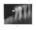 Fig. 02 - Dental-based identification system