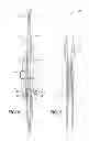Fig. 06 - Portable ski and ski pole carrier system