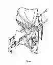 Fig. 02 - EXTENDABLE STROLLER SHADE