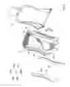 Fig. 03 - Vehicular seats