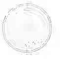Fig. 01 - Bicycle wheel and counterweight